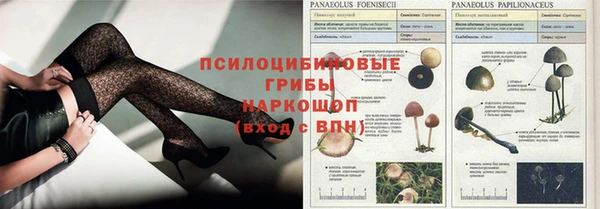 ПСИЛОЦИБИНОВЫЕ ГРИБЫ Богородск