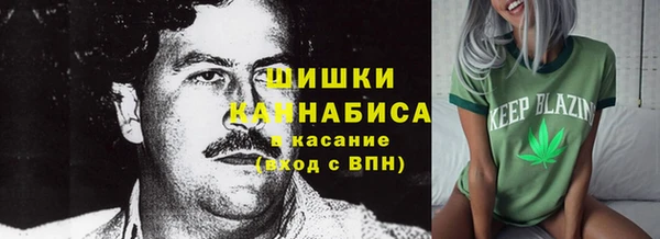 ПСИЛОЦИБИНОВЫЕ ГРИБЫ Богородск