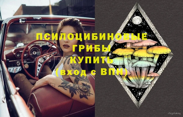 мдма Богородицк