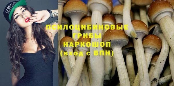 мдма Богородицк